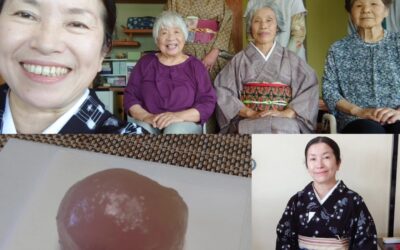 今日のお菓子は水牡丹