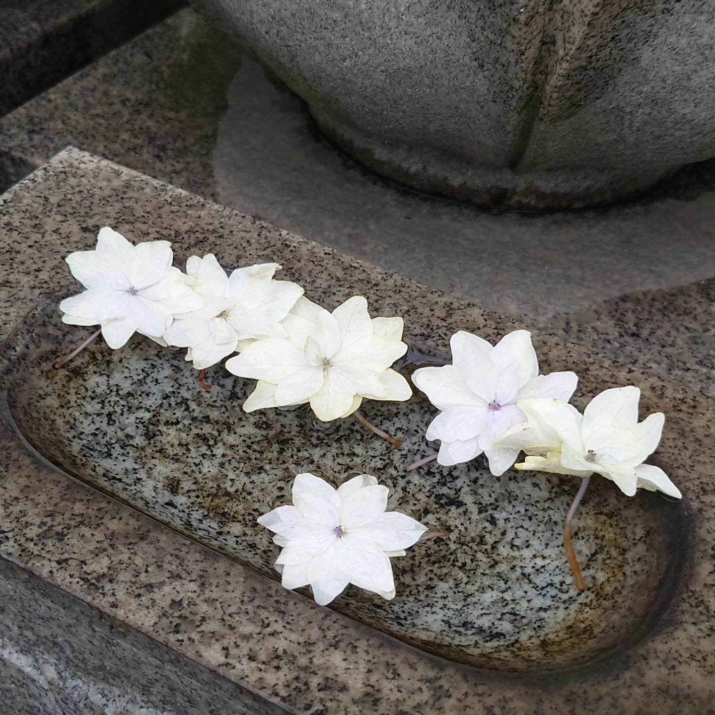 511509155_757485859943650_233417174643891195_n 寺子屋サロン