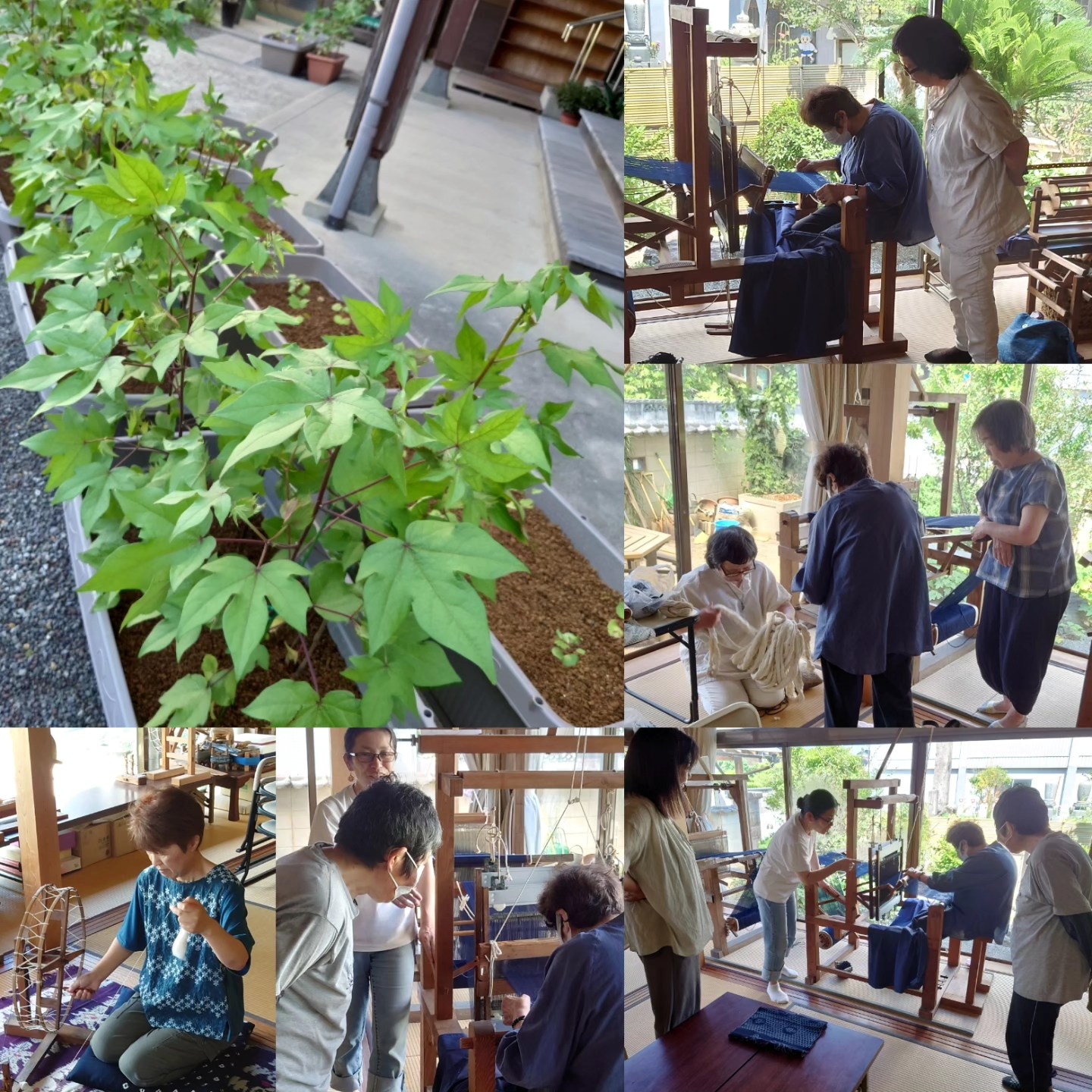 寺子屋サロン