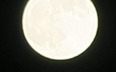 ヨーガ12年目スタート！