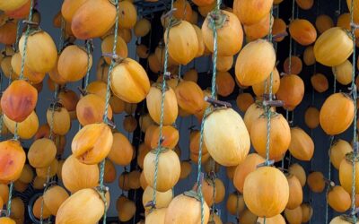 今年の柿暖簾も圧巻です💛