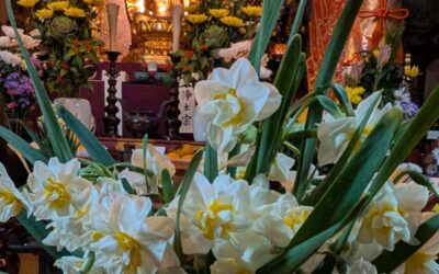 ハイブリッドなヨーガです