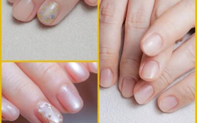 令和8年花まつりイベント出店者さん紹介⑤