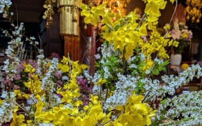 ご本堂でヨーガ