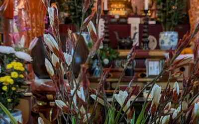 自身の内臓を浄化💛