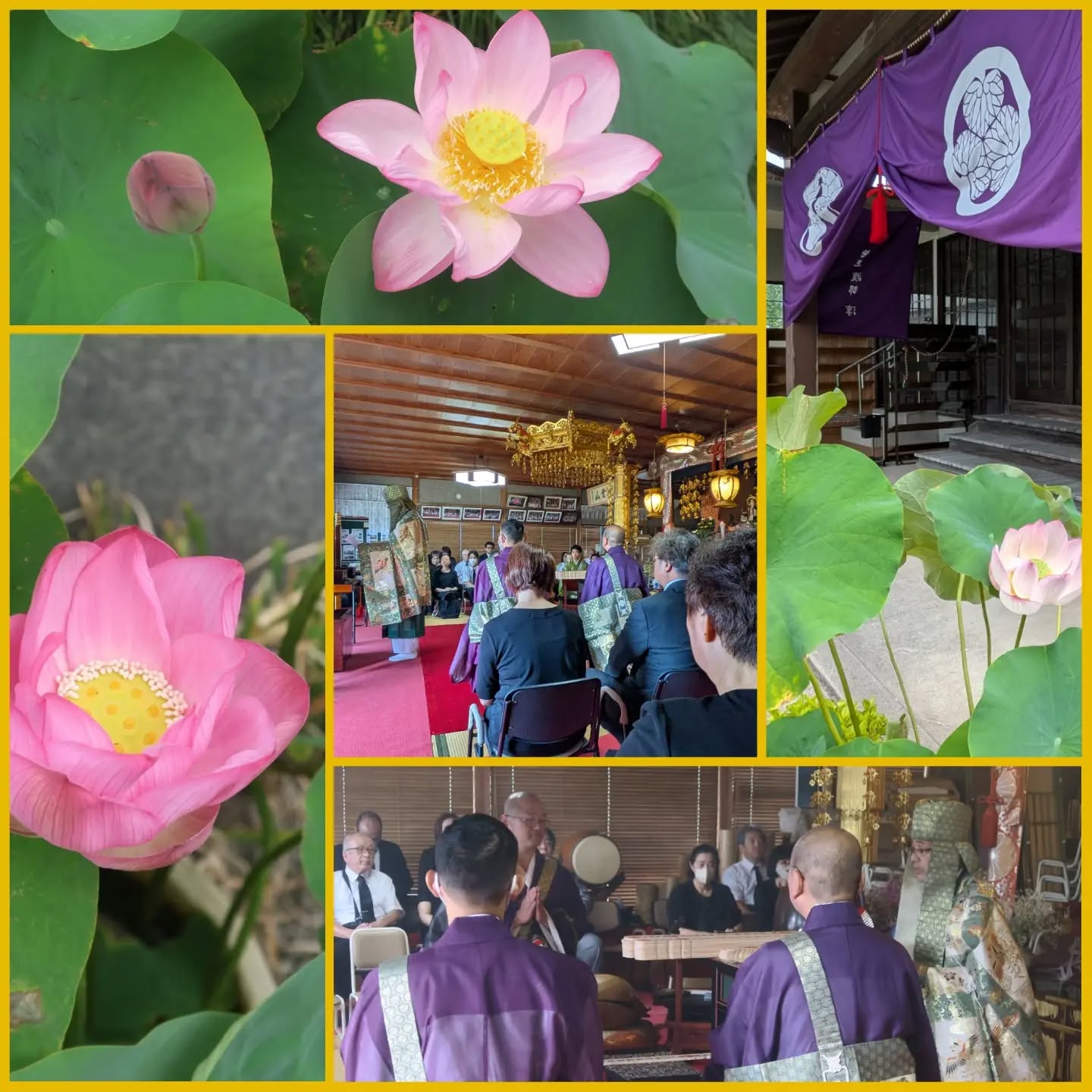 寺子屋サロン